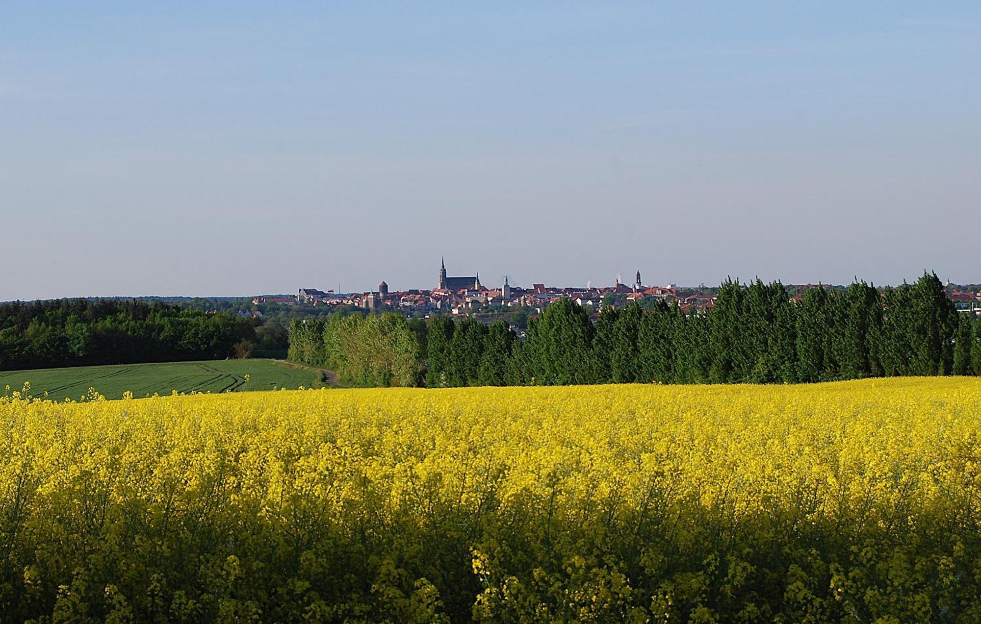 Fewo Geborgenheit Asza Mit Strahlungsfreien Zonen Budziszyn Zewnętrze zdjęcie